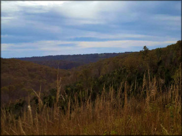 Soggy Bottom MX OHV Area