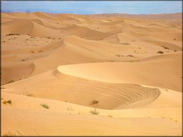 Glamis Sand Dunes Dune Area
