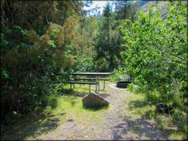 Campsite with picnic table, fire ring and BBQ grill surrounded by aspen, juniper and pine trees.