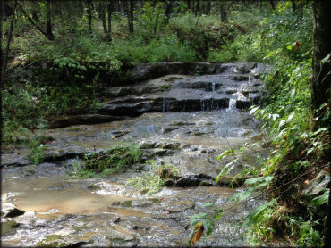 Brock Creek Trails