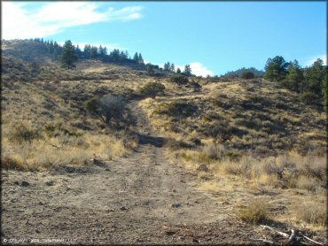 Terrain example at Hunter Lake Trail