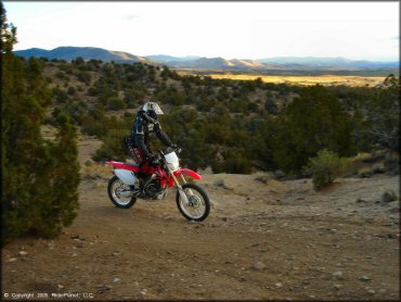Honda CRF Motorcycle at Mount Seigel OHV Trails