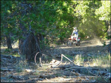 Honda CRF Motorcycle at Black Springs OHV Network Trail