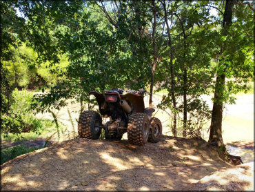 Rear view of ATV parked on top of small hill surrounded by various trees.