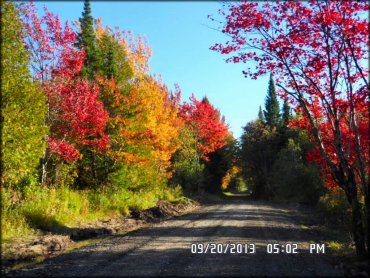 A scenic view of gravel trail surrounded by fall foliage.