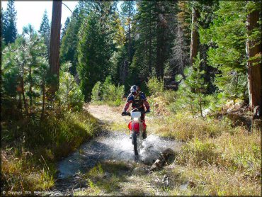 Honda CRF Trail Bike traversing the water at Indian Springs Trail