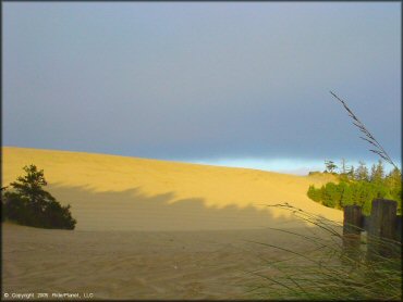 Terrain example at Oregon Dunes NRA - Florence Dune Area