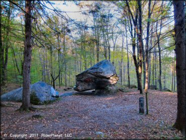 Scenic view of Pittsfield State Forest Trail