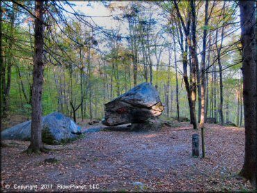 Scenery from Pittsfield State Forest Trail