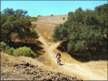 Honda CRF Dirt Bike at Santa Clara County Motorcycle Park OHV Area