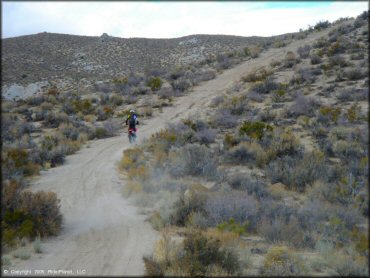 Honda CRF Dirt Bike at Prison Hill Recreation Area Trail