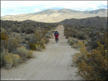 Honda CRF Dirt Bike at Prison Hill Recreation Area Trail