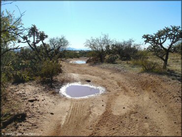 Example of terrain at Charouleau Gap Trail