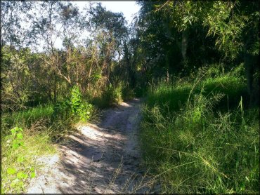 Peace River Campground Trail