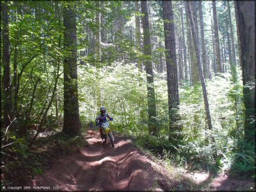 Girl on OHV at Upper Nestucca Motorcycle Trail System