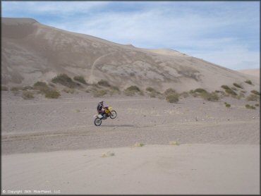 OHV popping a wheelie at Amargosa Dunes Dune Area