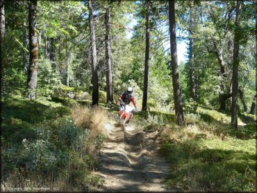 Miami Creek OHV Area Trail