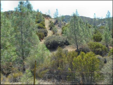 Scenic view at Clear Creek Management Area Trail