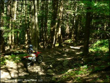 Honda CRF Motorcycle at Beartown State Forest Trail