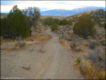 Mount Seigel OHV Trails