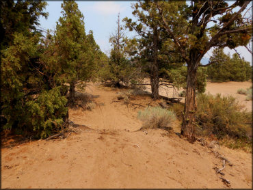 Juniper Flats OHV Area Trail