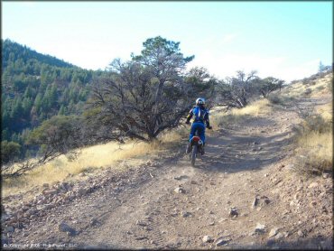 Honda CRF Motorcycle at Hunter Lake Trail