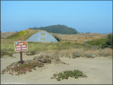 Some terrain at Samoa Sand Dunes OHV Area