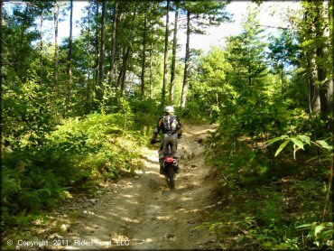 Honda CRF Trail Bike at Hodges Village Dam Trail