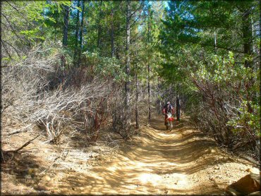 Honda CRF Motorcycle at Georgetown Trail