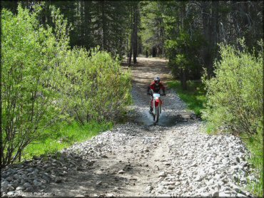 Honda CRF Dirt Bike traversing the water at Corral OHV Trail