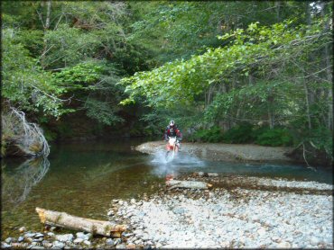Honda CRF Dirtbike crossing some water at Lubbs Trail