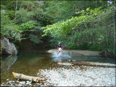 Honda CRF Motorcycle crossing some water at Lubbs Trail