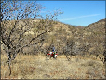 Honda CRF Trail Bike at Red Springs Trail