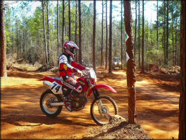 Man wearing Fox Racing red and black motocross gear riding Honda XR dirt bike.