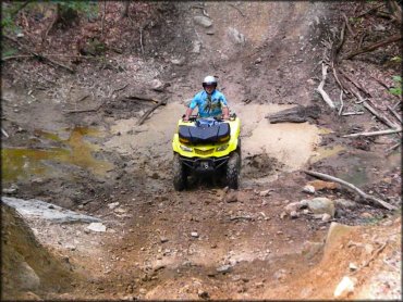 Moto Cove Trail