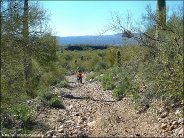 Honda CRF Motorcycle at Mescal Mountain OHV Area Trail