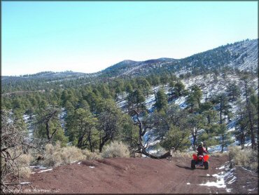 Woman on Honda TRX 250EX navigating ATV trail.