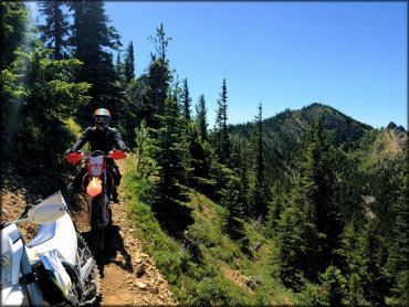 Little Naches Trail