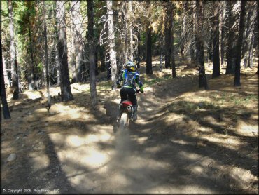 Honda CRF Motorcycle at Elkins Flat OHV Routes Trail