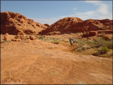 Suzuki RM 100 on twisty sandy trail.