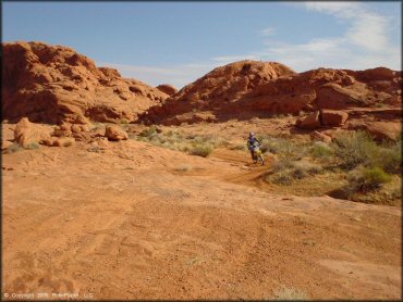 Suzuki RM 100 on twisty sandy trail.