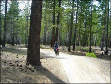 Honda CRF Dirt Bike at Corral OHV Trail