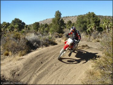 Man on Honda CRF250 going through sandy section of trail.