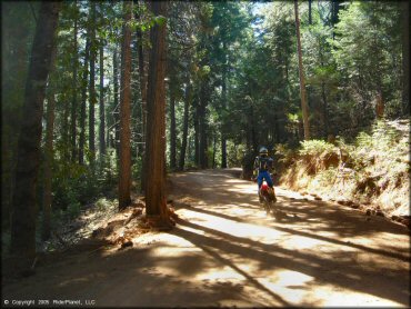 Honda CRF Trail Bike at Miami Creek OHV Area Trail