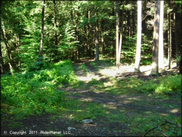 Example of terrain at Camden ATV Trail