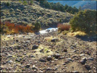 A trail at China Springs Trail