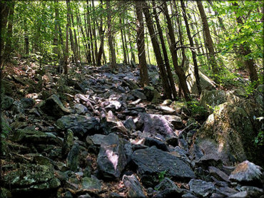 A difficult rocky section of trail for ATVs, UTVs and motorcycles.