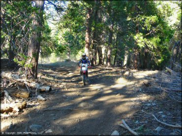 Honda CRF Motorcycle at Black Springs OHV Network Trail