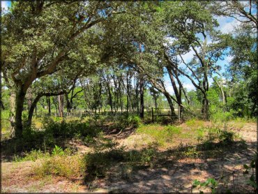 Wandering Wiregrass OHV Trail