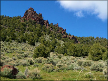 Cold Springs Station Trail